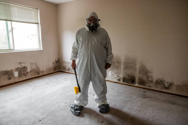 Crawl Space Mold Removal in Raymondville, TX